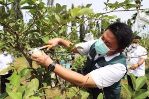 Herman Deru Berdayakan Alumni SMK SPPN Sembawa, Wujudkan Sumsel Lumbung Daging Nasional