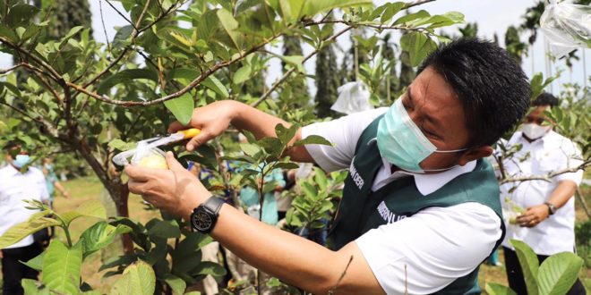 Herman Deru Berdayakan Alumni SMK SPPN Sembawa, Wujudkan Sumsel Lumbung Daging Nasional