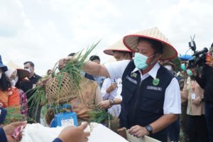 Percepat Terwujudnya Sumsel Lumbung Pangan