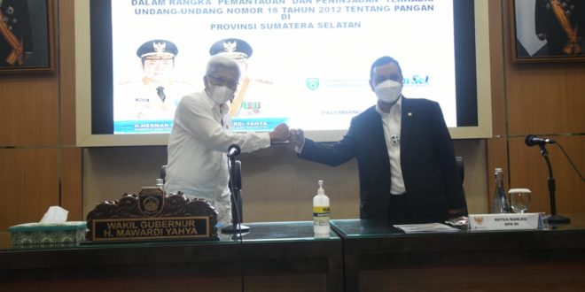 Wagub Mawardi Paparkan Kemandirian Pangan Sumsel ke Banleg DPR RI