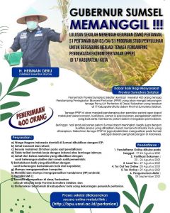Pemprov Sumsel Kembali Rekrut 400 Tenaga PPEP