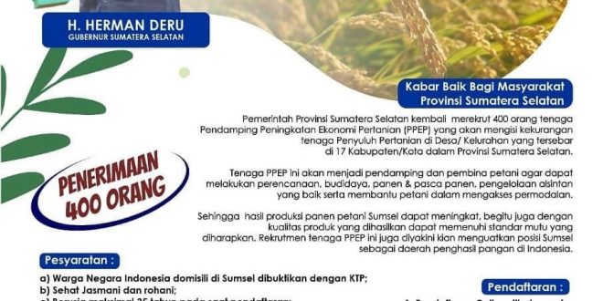 Pemprov Sumsel Kembali Rekrut 400 Tenaga PPEP