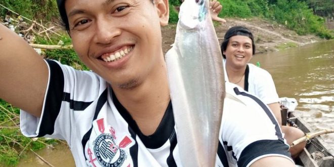Ikan Putak Masih Aman Dikonsumsi