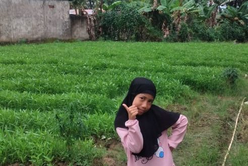 Mampu Bertahan di Tengah Pandemi