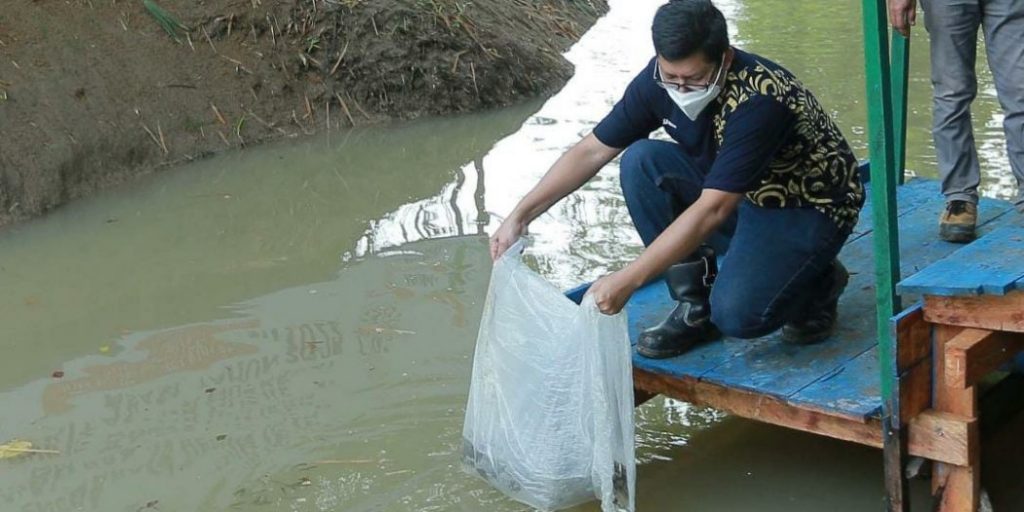 General Manager Pertambangan Tanjung Enim (GM PTE), Venpri Sagara, dan didampingi unsur Tripika Kecamatan, melakukan penebaran 16 ribu Benih ikan di Bantaran Sungai Enim,