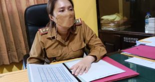 Kepala Dinas PUBM Kabupaten Musi Rawas, Alawiyah, S.T., M.M., (foto : IST/SMSI Silampari)