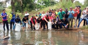 Pengurus Karang Taruna Kota Lubuklinggau melepaskan 3.000 bibit Ikan Patin di Sungai Belalau dan Sungai Kelingi. (foto : SMSI Sumsel)