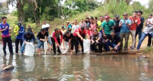 Pengurus Karang Taruna Kota Lubuklinggau melepaskan 3.000 bibit Ikan Patin di Sungai Belalau dan Sungai Kelingi. (foto : SMSI Sumsel)
