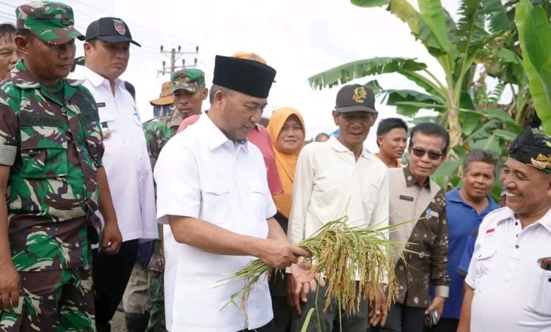 Kondisi puluhan hektar sawah masyarakat yang tiap tahun terkena banjir (Foto:Pemkab Muba)