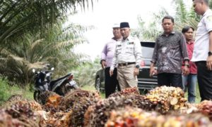 Pemkab Muba Dorong Pengembangan Ekonomi Masyarakat Melalui Sektor Komoditi (Foto:Pemkab Muba)