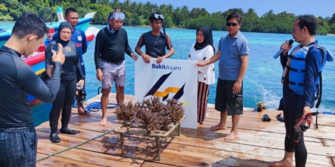 PT. Bukit Asam Tbk (PTBA) turut berkontribusi dalam konservasi terumbu karang di destinasi wisata ini.