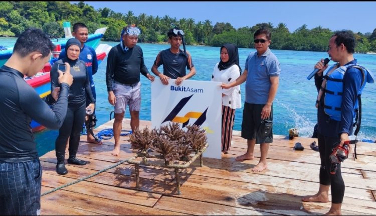 PT. Bukit Asam Tbk (PTBA) turut berkontribusi dalam konservasi terumbu karang di destinasi wisata ini.