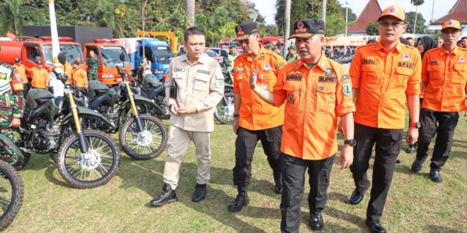Kebakaran atau pembakaran hutan dan lahan menimbulkan dampak terhadap kerusakan lingkungan.