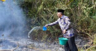 Saat hendak menghadiri hajatan warga di Kecamatan Sungai Keruh pada hari Minggu pagi tanggal 3 September 2023, Pj. Bupati Kabupaten Musi Banyuasin (Muba), H. Apriyadi Mahmud yang sedang melintasi Desa Rantau Sialang, melihat titik api di pinggir hutan. (foto : Humas Pemkab Muba)