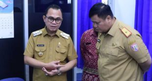 Pj. Bupati Kabupaten Banyuasin, Hani Syopiar Rustam. (foto : SMSI SUMSEL)