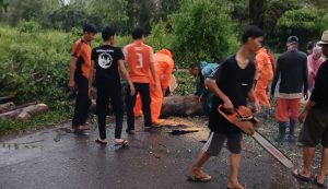Pohon tumbang akibat hujan dan angin kencang yang mengakibatkan akses jalan terganggu untuk dilewati. Diketahui, waktu dan lokasi kejadian di Jl. Praja Permai, Minggu (19/5/2024) Pukul 17:16 Wib.