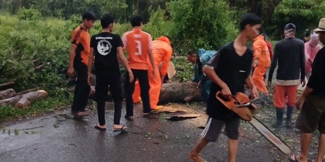 Pohon tumbang akibat hujan dan angin kencang yang mengakibatkan akses jalan terganggu untuk dilewati. Diketahui, waktu dan lokasi kejadian di Jl. Praja Permai, Minggu (19/5/2024) Pukul 17:16 Wib.