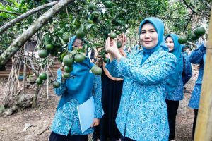 TP PKK Muba Adakan Pembinaan Untuk Masyarakat di Desa Langkap Kecamatan Babat Supat, Rabu (12/6/2024).