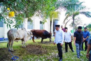 Pemkab Muba yang di pimpin oleh Pj Bupati H Sandi Fahlepi bersama jajarannya juga mengikuti Gerakan Berqurban serentak se-Sumatera Selatan secara Virtual, Minggu (16/6/2024).