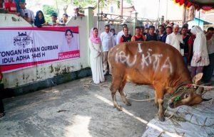 Sebanyak puluhan sapi dan kambing Qurban, dibagikan oleh Bakal Calon Wali Kota (Cawako) Palembang, Nandriani Octarina, pada hari Raya Idul Adha, Senin tanggal 17 Juni 2024.