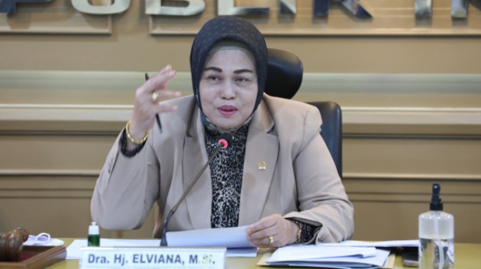 Wakil Ketua Komite IV DPD Republik Indonesia, Elviana