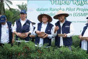 Elen Setiadi menghadiri Pengen Raya Cabai dalam rangka pilot project Gerakan Sumsel Mandiri Pangan (GSMP) Goes To School di SMKN 2 Gelumbang, Rabu, (23/10/2024).