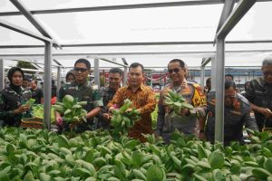 Kebun Ketahanan Pangan pendukung dapur sehat Kodam II/Sriwijaya berlokasi di Jalan Urip Sumoharjo Kalidoni Palembang, Jumat (22/11/2024).