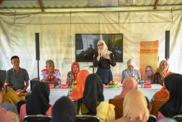 Anggota Dewan Perwakilan Daerah (DPD) Republik Indonesia asal Provinsi Sumatera Selatan (Sumsel), Amaliah Sobli