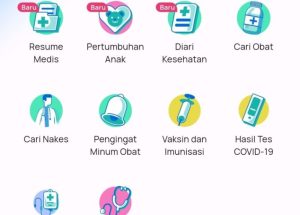 Ilustrasi Platform SATUSEHAT/Foto: Kemenkes