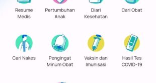 Ilustrasi Platform SATUSEHAT/Foto: Kemenkes