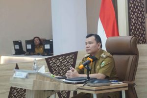 Elen Setiadi menghadiri Rapat Koordinasi (Rakor) Bidang Pengendalian Inflasi di Daerah Tahun 2025 dan Sosialisasi Program Pemeriksaan Kesehatan Gratis secara virtual di Sumsel Command Center, Senin, (20/1/2025).