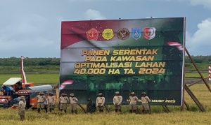 Masyarakat Kabupaten Merauke merayakan keberhasilan panen raya, yang menjadi tonggak penting dalam kebangkitan pertanian lokal. (MusiNews.id/Pertanian.go.id)