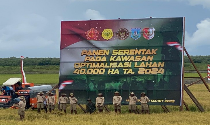 Masyarakat Kabupaten Merauke merayakan keberhasilan panen raya, yang menjadi tonggak penting dalam kebangkitan pertanian lokal. (MusiNews.id/Pertanian.go.id)