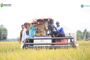 H. Herman Deru (HD) menghadiri Panen Raya Padi Serentak di 14 Provinsi Bersama Presiden Republik Indonesia, Jenderal (Purn) H. Prabowo Subianto secara virtual di Desa Cahaya Maju Kecamatan Lempuing Kabupaten OKI (Senin, 7/4/2025).