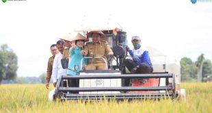 H. Herman Deru (HD) menghadiri Panen Raya Padi Serentak di 14 Provinsi Bersama Presiden Republik Indonesia, Jenderal (Purn) H. Prabowo Subianto secara virtual di Desa Cahaya Maju Kecamatan Lempuing Kabupaten OKI (Senin, 7/4/2025).