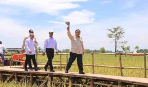 Foto: Humas Kementan