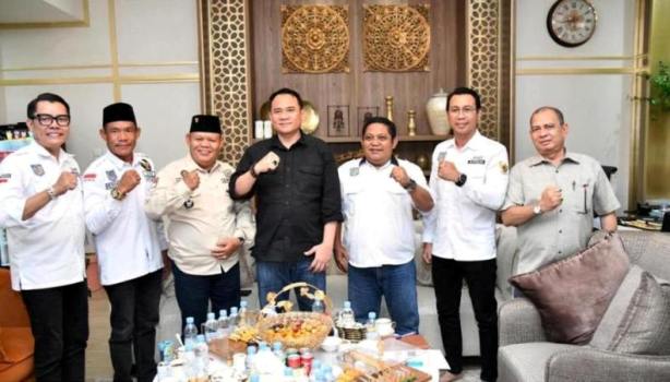 Ketua Dewan Perwakilan Rakyat Daerah (DPRD) Provinsi Sumatera Selatan (Sumsel), Andie Dinialdie, menerima audiensi dari pengurus Dewan Pimpinan Daerah (DPD) Asosiasi Pemerintah Desa Seluruh Indonesia Sumsel.