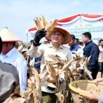 Ketua DPRD Sumsel, Andie Dinialdie, menghadiri acara Panen Raya Jagung Serentak Kuartal II Tahun 2025 digelar di Komplek Senai Indah, Kelurahan Indralaya Indah, Kecamatan Indralaya, Kabupaten Ogan Ilir, Provinsi Sumatera Selatan, hari Kamis, tanggal 5 Juni 2025.