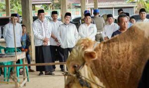 Pemerintah Kabupaten Musi Banyuasin (Muba) merayakan Idul Adha 1446 H dengan melaksanakan penyembelihan hewan kurban di Balai Desa Sungai Angit. Bupati Muba, H M Toha SH, memimpin prosesi bersejarah ini bersama jajaran Forkopimda kepala OPD yang hadir, Jumat (6/6)2025.
