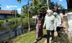 Hj. Eva Susanti, S.E., M.M., melakukan kunjungan lapangan ke lokasi budidaya ikan lele milik warga di Kelurahan Karya Baru, Kecamatan Alang-Alang Lebar, Kota Palembang.