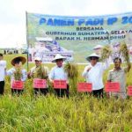 H. Herman Deru (HD), didampingi oleh Staf Khusus Menteri Pertanian Prof. Herodian dan Bupati Banyuasin H. Askolani, melakukan Panen Raya Padi IP 200 di Desa Maju Ria, Kecamatan Karang Agung Ilir, Kabupaten Banyuasin, Jumat (25/7/2025).