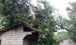 Cuaca ekstrem yang melanda Kecamatan Sekayu, membawa dampak serius dengan terjadinya hujan deras disertai angin kencang.