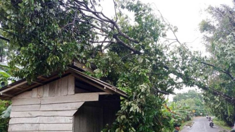 Cuaca ekstrem yang melanda Kecamatan Sekayu, membawa dampak serius dengan terjadinya hujan deras disertai angin kencang.