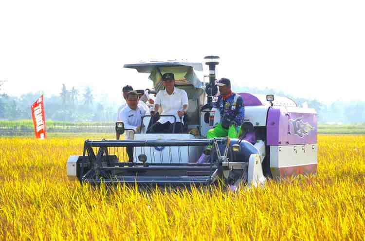Program Optimalisasi Lahan Sawah (OPLAH) dan Brigade Pangan (BP) di Kabupaten Ogan Komering Ilir (OKI)