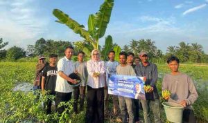 Dukungan terhadap regenerasi sektor pertanian terus digalakkan oleh Anggota Komite II Dewan Perwakilan Daerah Republik Indonesia (DPD RI), Hj. Eva Susanti.