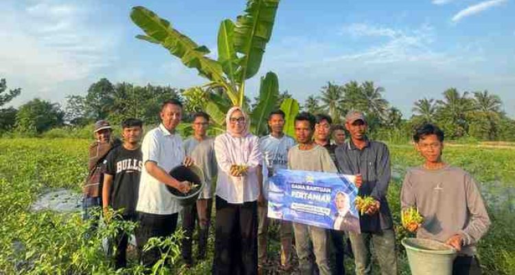 Dukungan terhadap regenerasi sektor pertanian terus digalakkan oleh Anggota Komite II Dewan Perwakilan Daerah Republik Indonesia (DPD RI), Hj. Eva Susanti.
