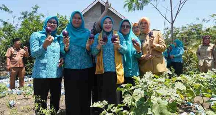 Lidyawati Cik Ujang mengajak masyarakat Kabupaten Penukal Abab Lematang Ilir (PALI) untuk lebih memanfaatkan potensi lokal demi terwujudnya kemandirian pangan keluarga.