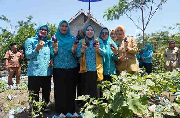 Lidyawati Cik Ujang mengajak masyarakat Kabupaten Penukal Abab Lematang Ilir (PALI) untuk lebih memanfaatkan potensi lokal demi terwujudnya kemandirian pangan keluarga.