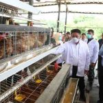 Herman Deru, menyerahkan Sertifikat Nomor Kontrol Veteriner (NKV), Sertifikat Good Farming Practices (GFP), serta Sertifikasi Bebas Residu Antibiotik dan Salmonella kepada para peternak ayam petelur di Kabupaten Banyuasin.