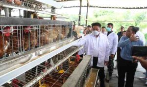 Herman Deru, menyerahkan Sertifikat Nomor Kontrol Veteriner (NKV), Sertifikat Good Farming Practices (GFP), serta Sertifikasi Bebas Residu Antibiotik dan Salmonella kepada para peternak ayam petelur di Kabupaten Banyuasin.
